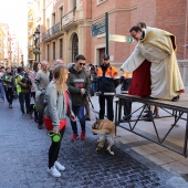 Festividad de San Antonio