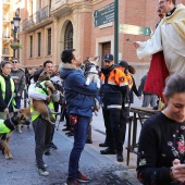 Festividad de San Antonio