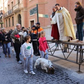 Festividad de San Antonio