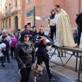 Festividad de San Antonio