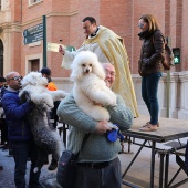 Festividad de San Antonio