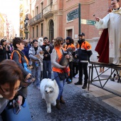 Festividad de San Antonio