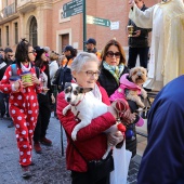 Festividad de San Antonio