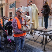 Festividad de San Antonio