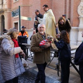 Festividad de San Antonio