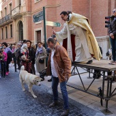 Festividad de San Antonio