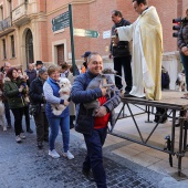 Festividad de San Antonio