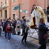 Festividad de San Antonio