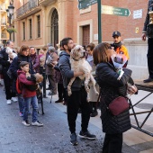 Festividad de San Antonio