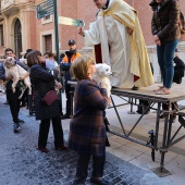 Festividad de San Antonio