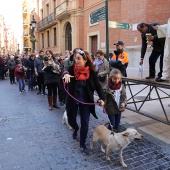 Festividad de San Antonio