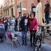 Festividad de San Antonio