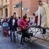 Festividad de San Antonio