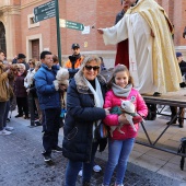 Festividad de San Antonio