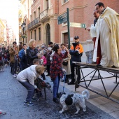 Festividad de San Antonio