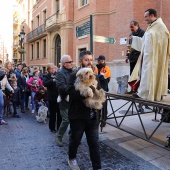 Festividad de San Antonio