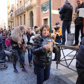 Festividad de San Antonio