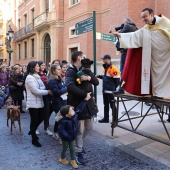 Festividad de San Antonio