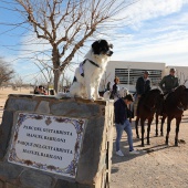 Festividad de San Antonio