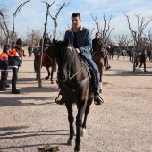 Festividad de San Antonio