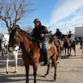 Festividad de San Antonio