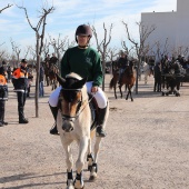 Festividad de San Antonio