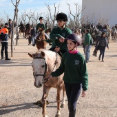 Festividad de San Antonio