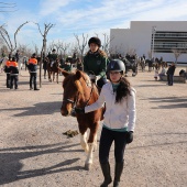 Festividad de San Antonio