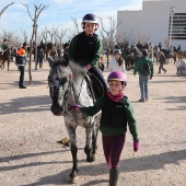 Festividad de San Antonio