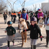 Festividad de San Antonio