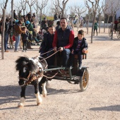 Festividad de San Antonio