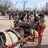 Festividad de San Antonio