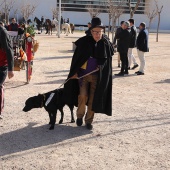 Festividad de San Antonio