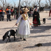 Festividad de San Antonio