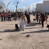 Festividad de San Antonio