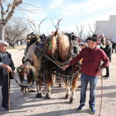 Festividad de San Antonio