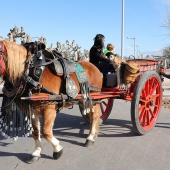 Festividad de San Antonio