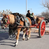 Festividad de San Antonio