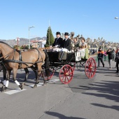 Festividad de San Antonio