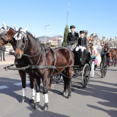 Festividad de San Antonio