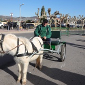 Festividad de San Antonio