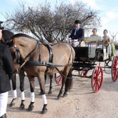 Festividad de San Antonio