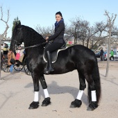 Festividad de San Antonio