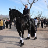 Festividad de San Antonio