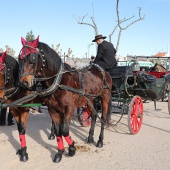 Festividad de San Antonio