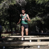 Cross Ciudad de Castellón