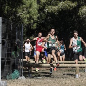 Cross Ciudad de Castellón