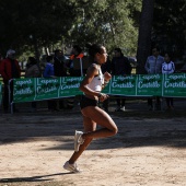 Cross Ciudad de Castellón