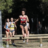 Cross Ciudad de Castellón