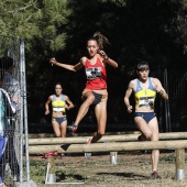 Cross Ciudad de Castellón